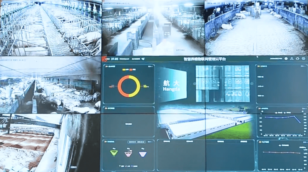 物聯(lián)網(wǎng)畜禽養(yǎng)殖工程案例 物聯(lián)網(wǎng)畜禽養(yǎng)殖工程案例