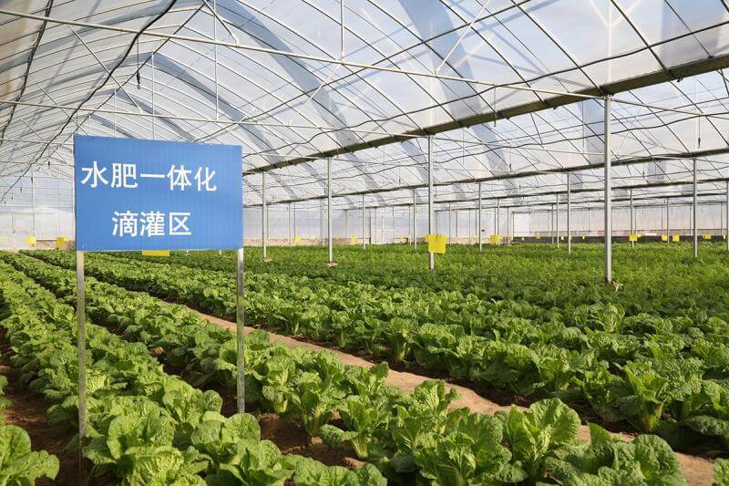 傳智能物聯(lián)網(wǎng)水肥一體化項(xiàng)目 傳智能物聯(lián)網(wǎng)水肥一體化項(xiàng)目