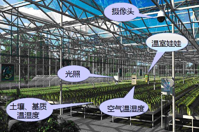 傳智能物聯(lián)網(wǎng)水肥一體化項(xiàng)目 傳智能物聯(lián)網(wǎng)水肥一體化項(xiàng)目